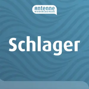 アンテナ ニーダーザクセン シュラーガー