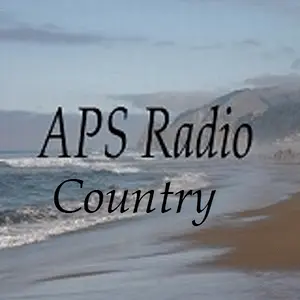 APS ラジオの国