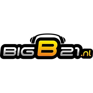 ビッグB21