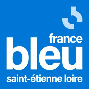 フランス ブルー サンテティエンヌ ロワール