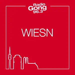 ラジオゴング 96.3 ウィーンのヒット曲