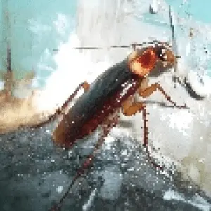 カケルラーケンラジオ