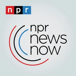 NPR 24 ラジオ