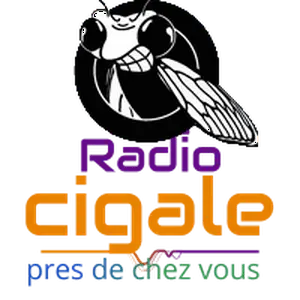 ラジオシガール