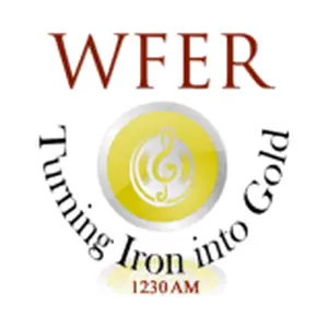 WFER ソリッドゴールド
