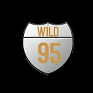 ワイルド95